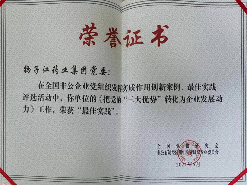 全國非公企業黨組織發揮實質作用最佳實踐（2021）