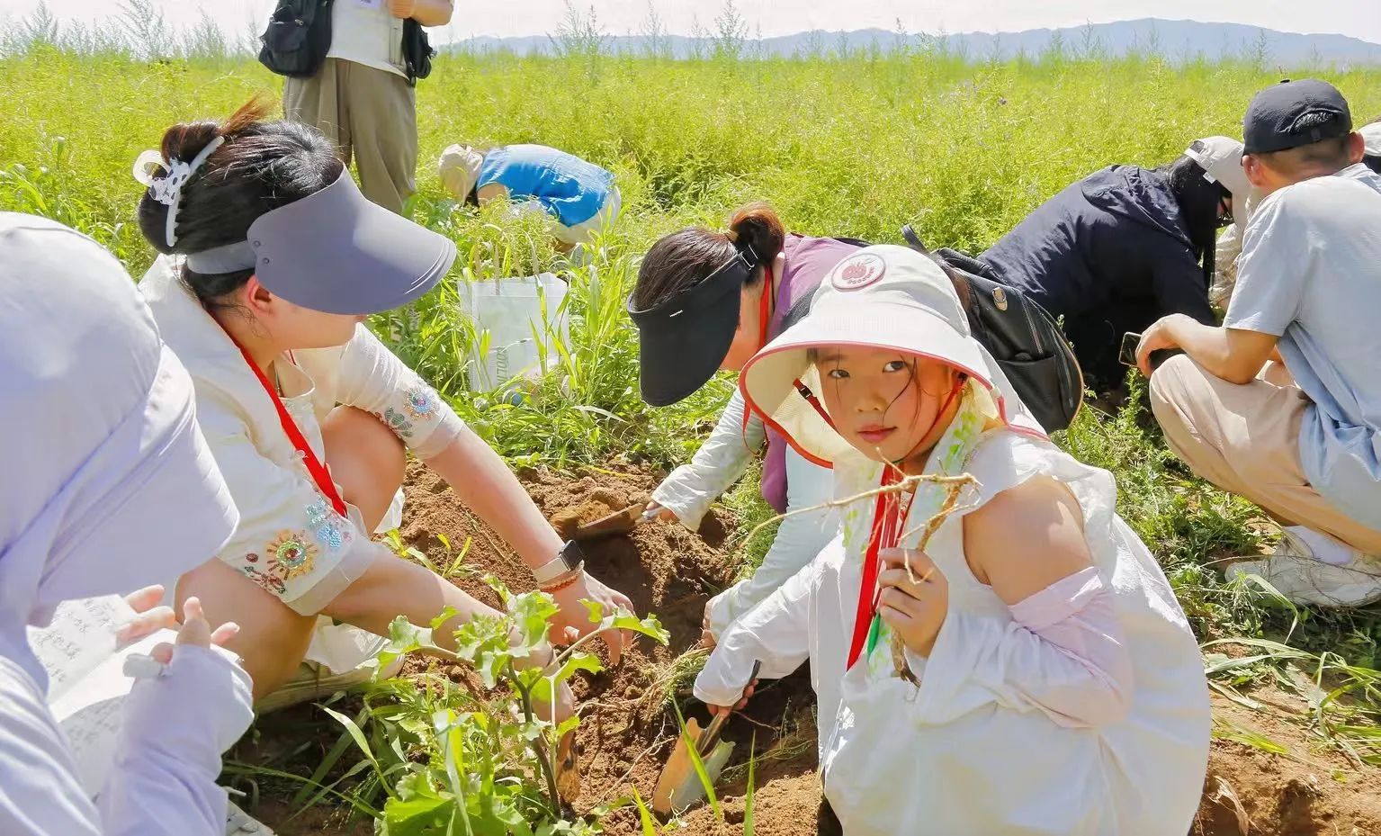 深度溯源有機品質，第二屆717龍鳳堂有機黃芪節(jié)在固陽舉辦
